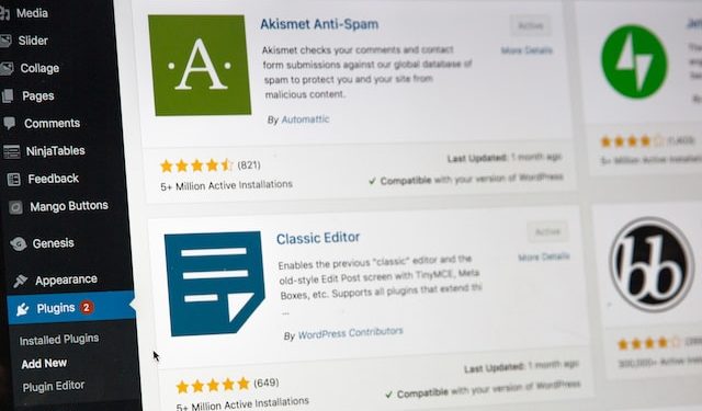 backdoor-nei-siti-wordpress