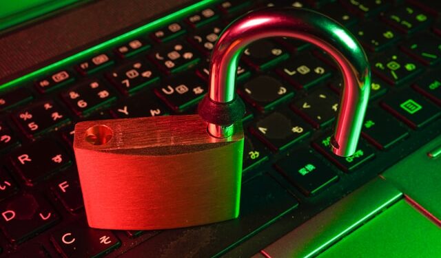 flyd-OQptsc4P3NM-unsplash